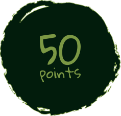 Points Badge