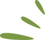 Side Image Left